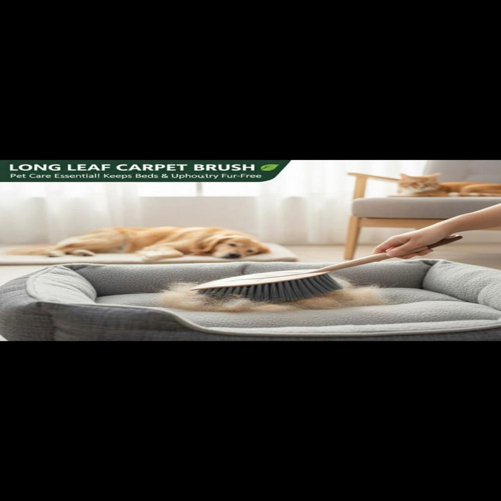 Long Leaf Soft Carpet Brush