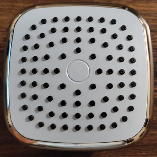 Oval Head Shower