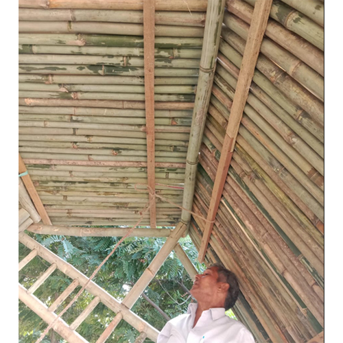 Bamboo Ceiling