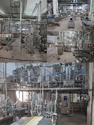 Industrial Dairy Plant Design Services