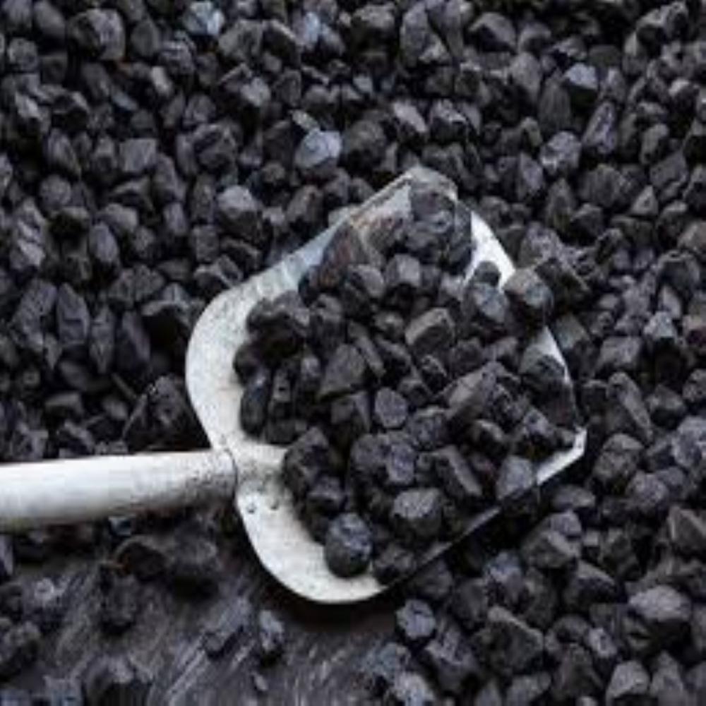 Coal (CV-6000 & Size -0-50mm)