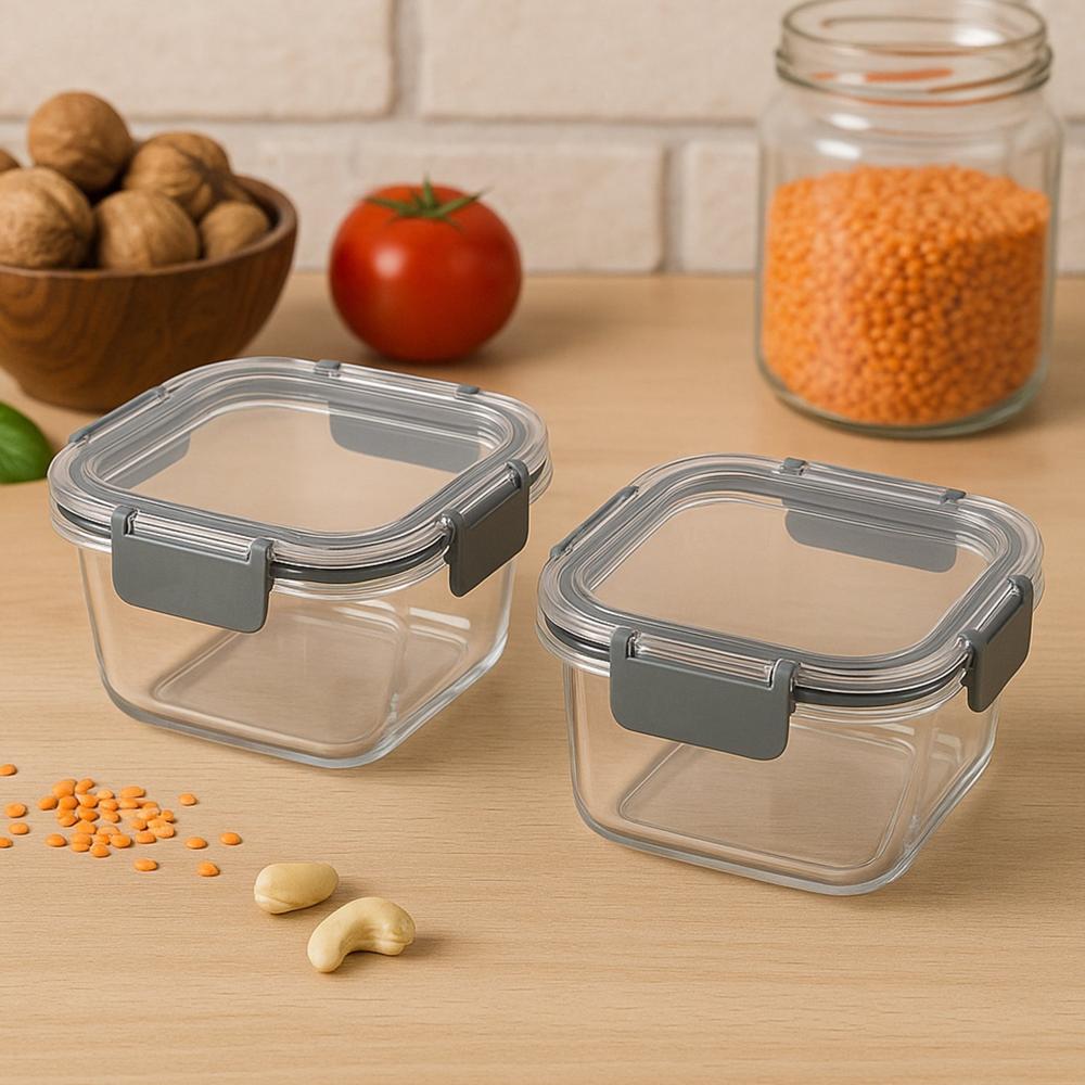Apex Press N Lock Airtight Food Storage Container Set (2Pc/450Ml) Approx - Color: Mix