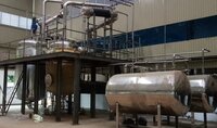 Hydroxy Camptothecin Extraction Plant