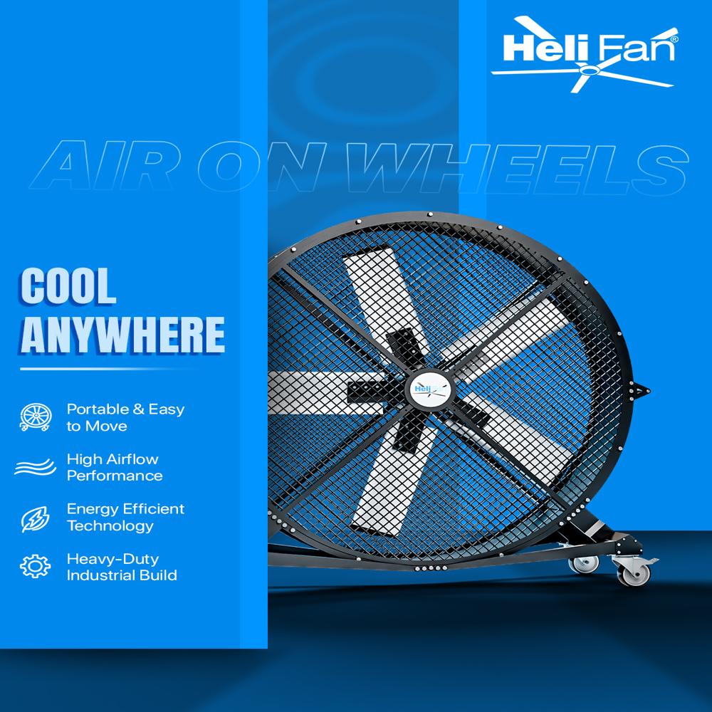 Large Farm House Fan