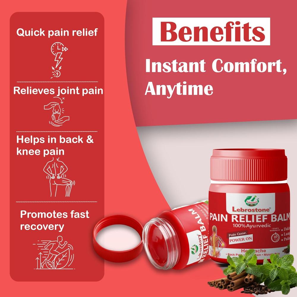 Lebrostone Pain Relief Balm | Instant Relief for Joint, Back, Knee & Muscle Pain | Ayurvedic Herbal Formula | 10ml