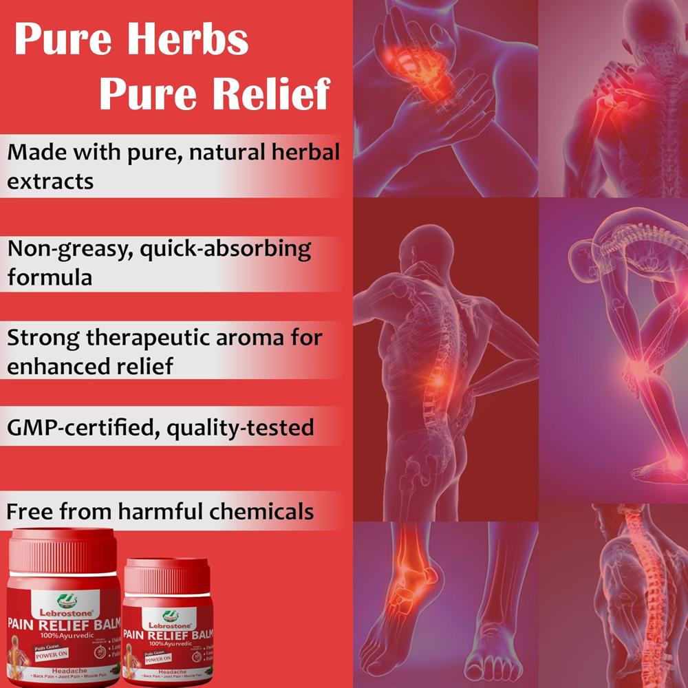 Lebrostone Pain Relief Balm | Instant Relief for Joint, Back, Knee & Muscle Pain | Ayurvedic Herbal Formula | 10ml