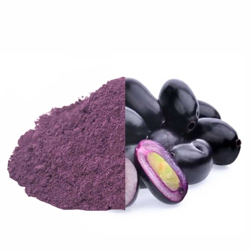 Jamun Powder - Purity: 99%