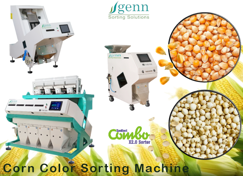 Corn Color Sorter Machine - Accuracy: 99.9 %