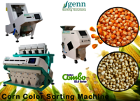 Corn Color Sorter Machine - Accuracy: 99.9  %