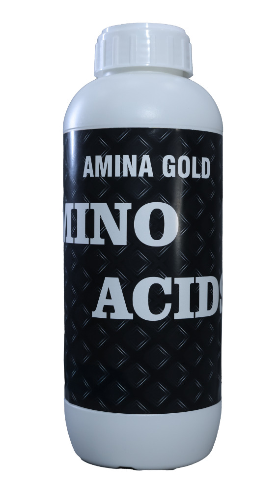 Stimulant Enriched With Natural Amino Acids