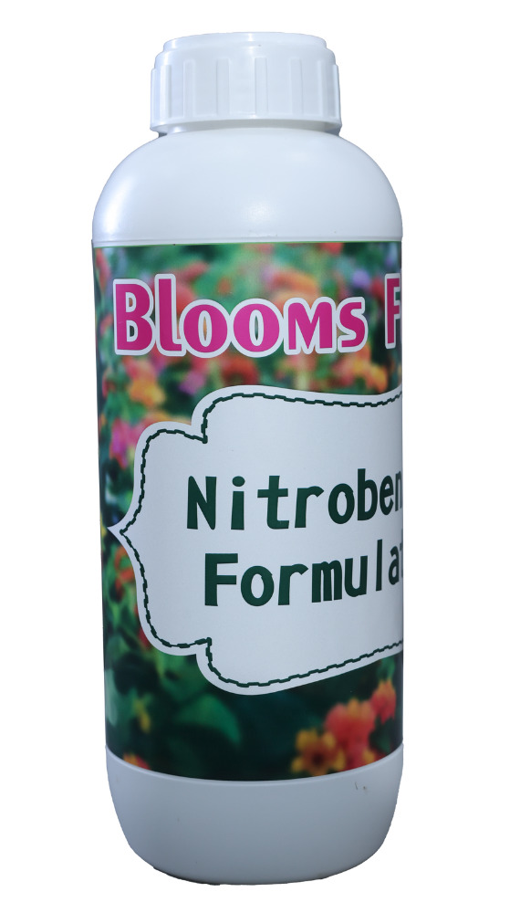 Blooms Flower