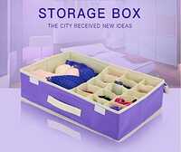 Foldable Storage Organizer