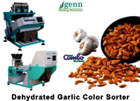 Garlic Sorting Machine - Accuracy: 99.9  %