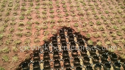 टर्फ ग्रास पेवर्स