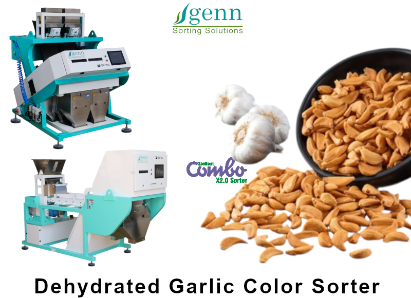 Dehytrated Garlic Color Sorter - Accuracy: 99.9 %