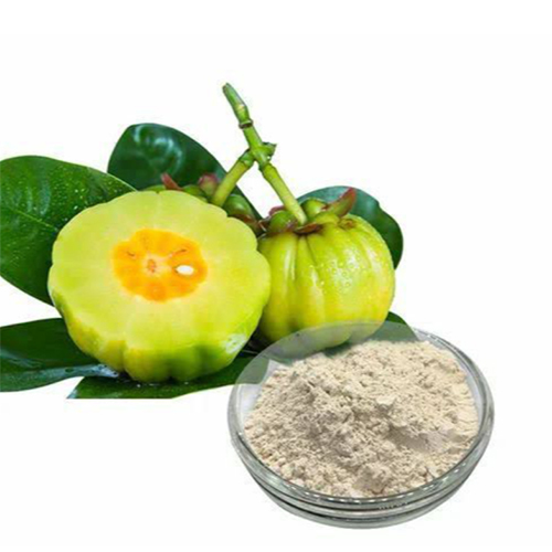 Garcinia Cambogia Extract