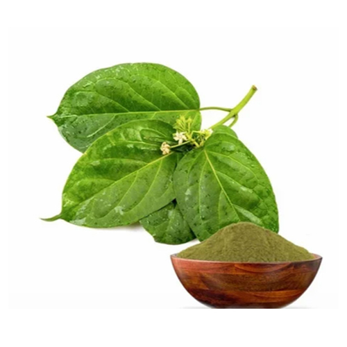 Gymnema Sylvestre Extact