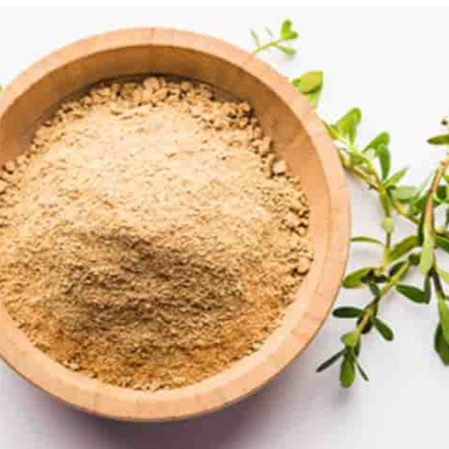 Bacopa Monnieri Extract - Color: Not Specified (Typically Light Brownish Powder)