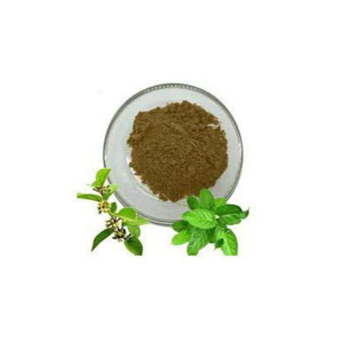 Gymnema Extract - Features: No Artificial Additives