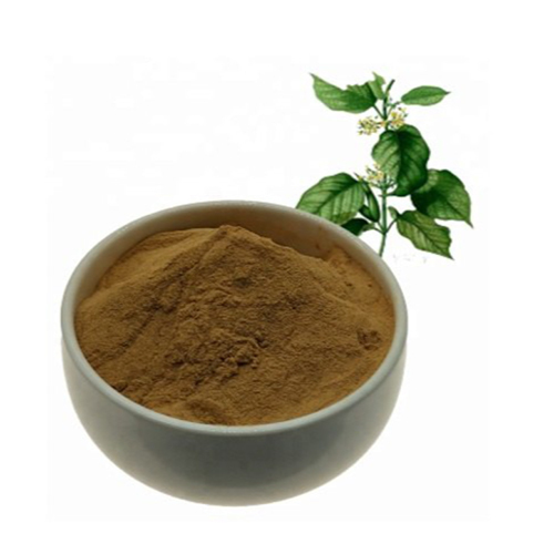 Gymnema Extract - Features: No Artificial Additives