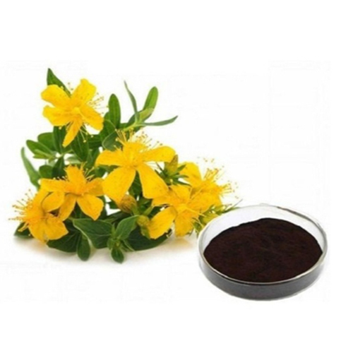 St Johns Wort Extact