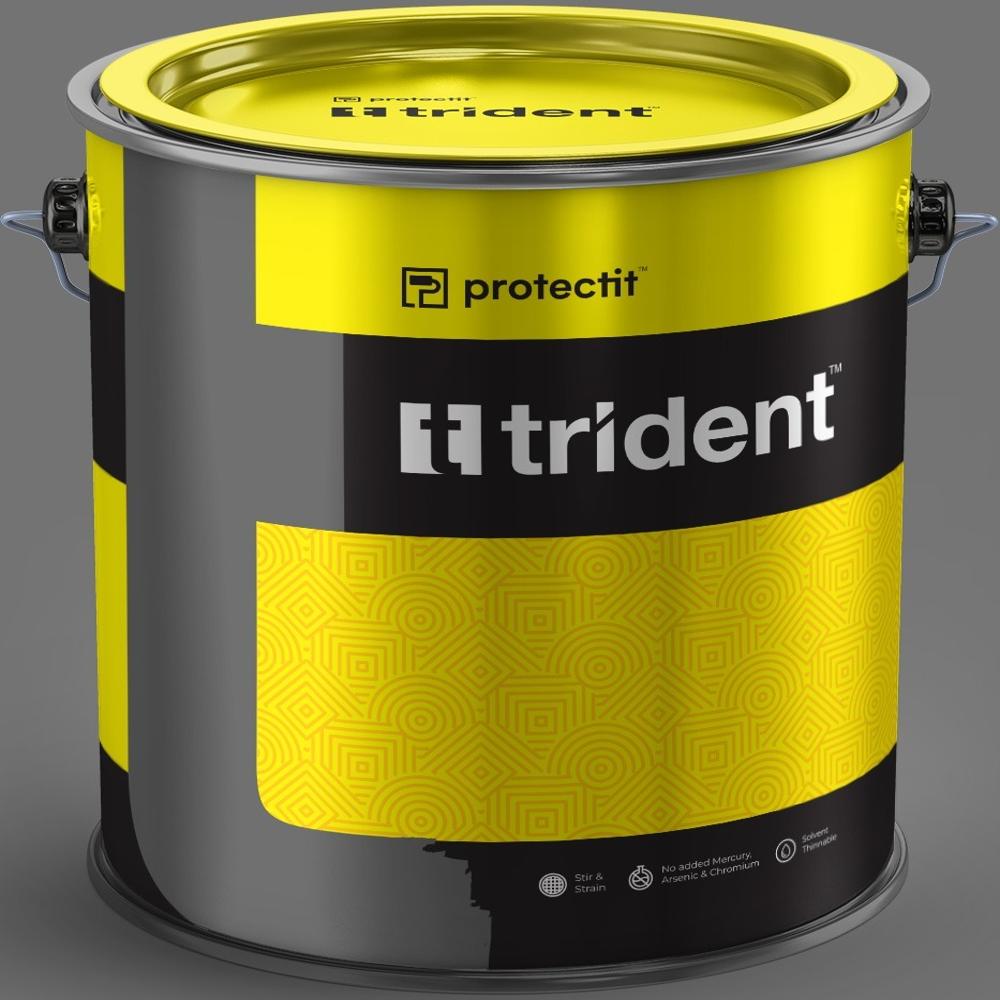 Intumescent Fire Protective Coatings