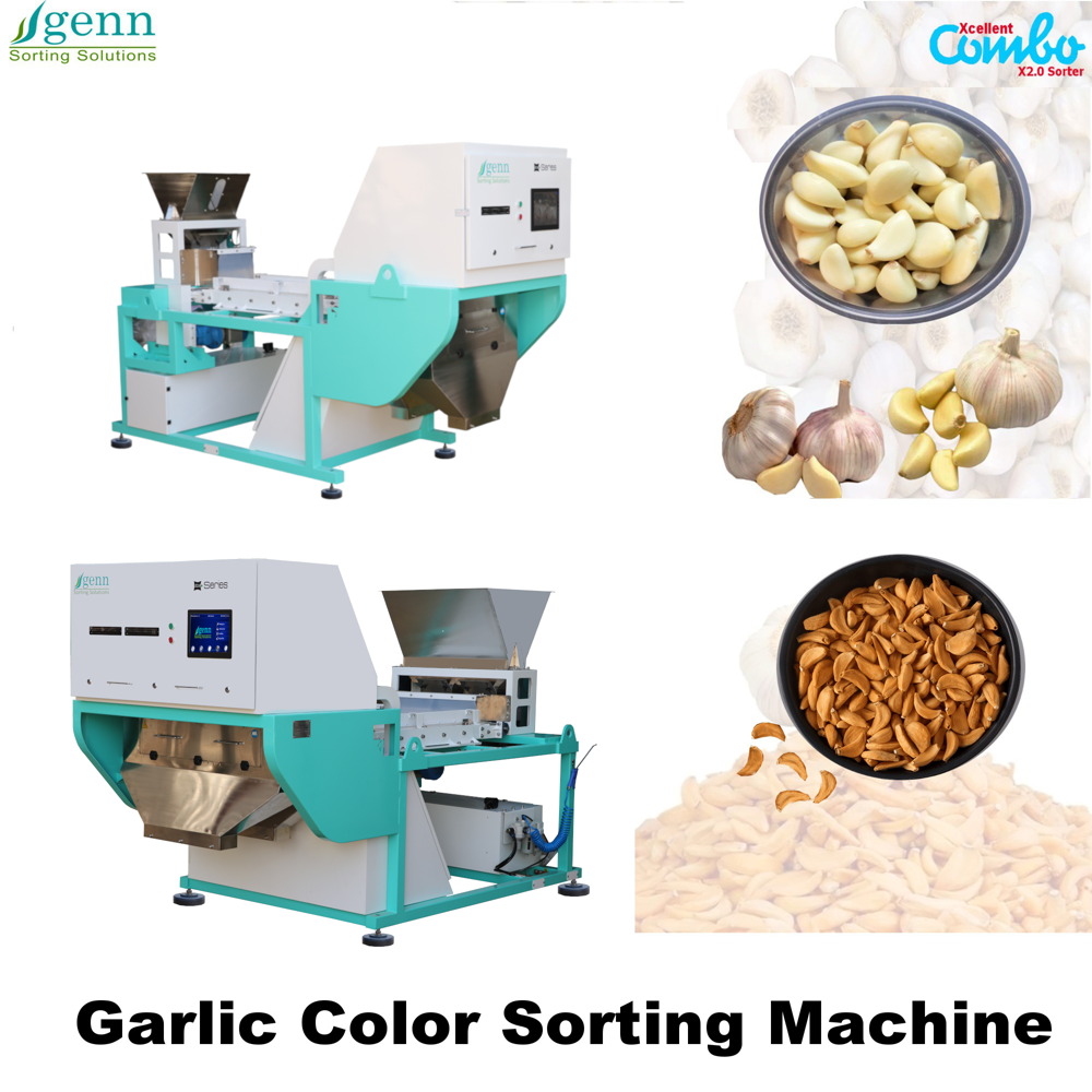 Belt Color Sorter For Garlic
