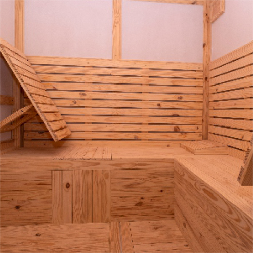 6X6 Feet Club Sauna Room