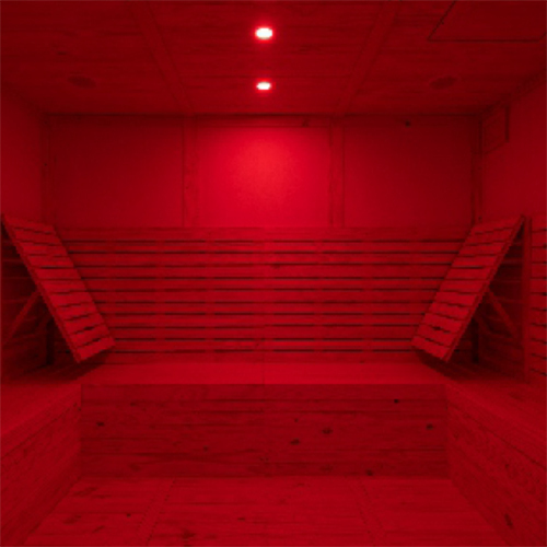 8X8 Feet Club Zen Sauna Room