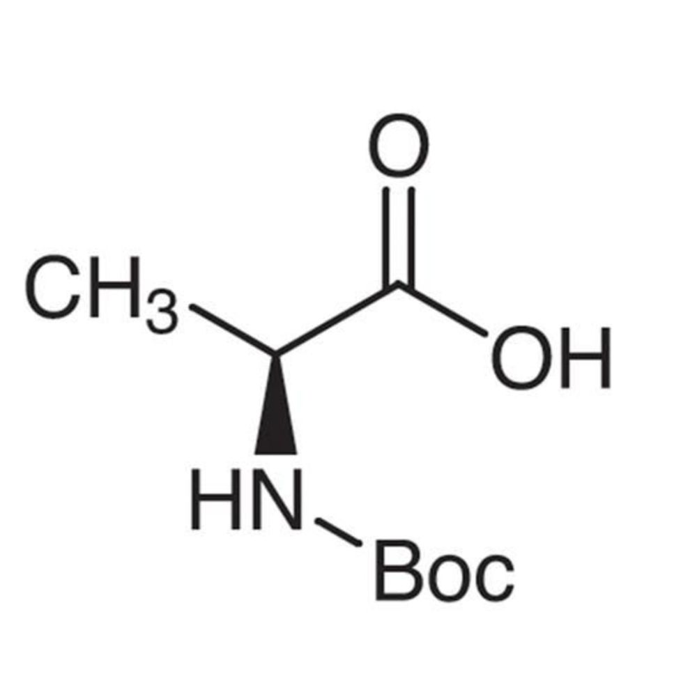 Boc- L -Ala-O H, CAS No.: 15761-38-3
