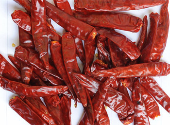 Dryred Chilli