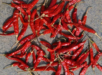 Dryred Chilli