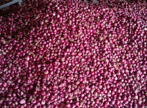 Rose Onion