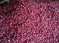 Rose Onion