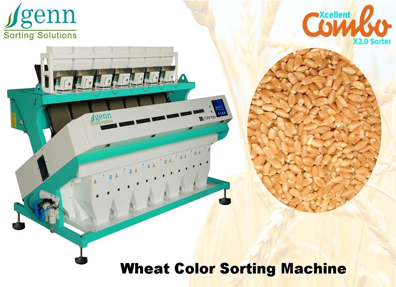 Wheat Color Sorting Machine - Accuracy: 99.9  %