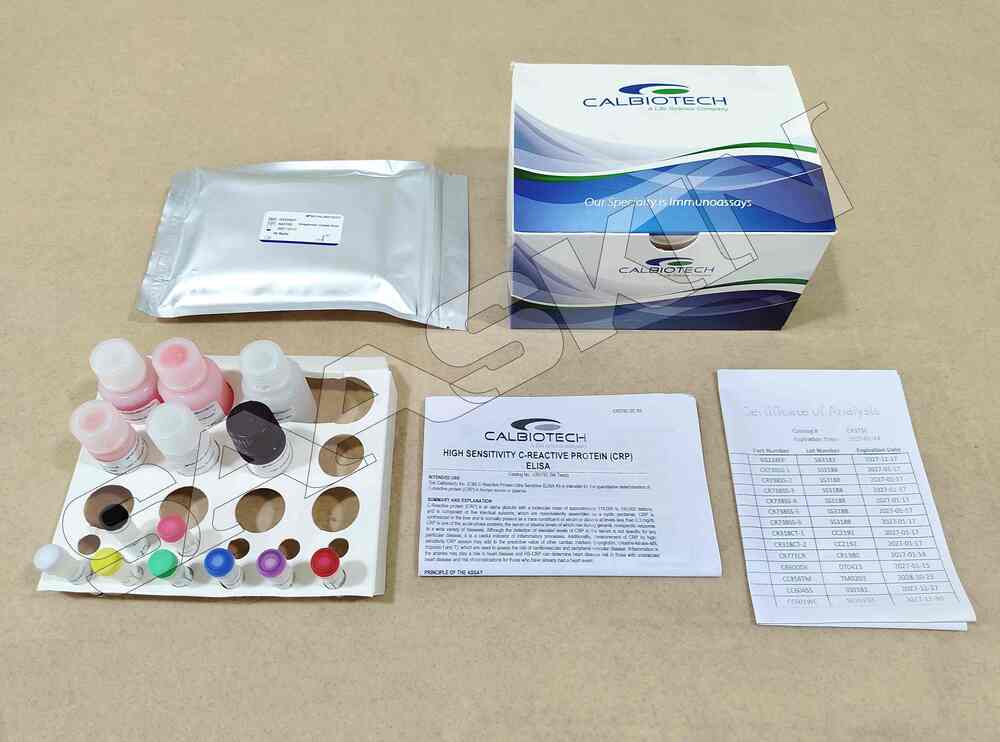Calbiotech high sensitivity C-Reactive Protein ELISA
