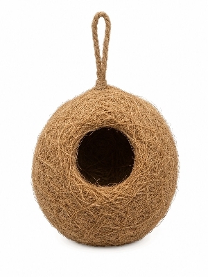 Small bird Nest