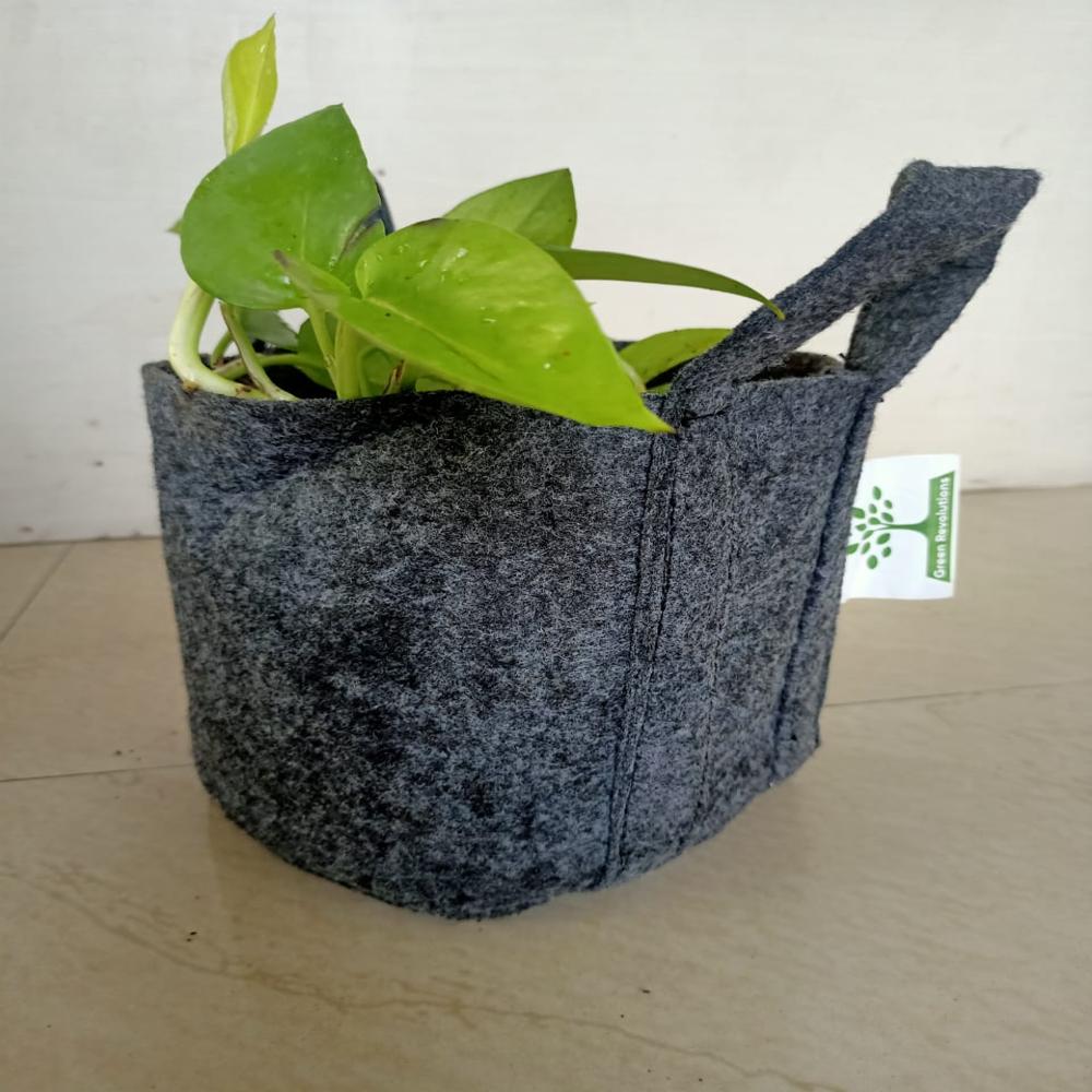 Grow Bag
