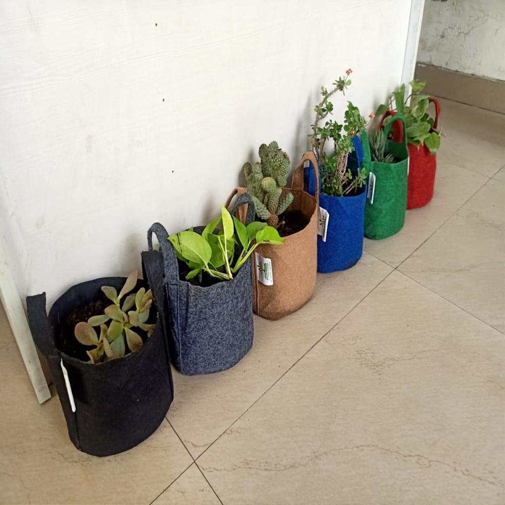 Grow Bag