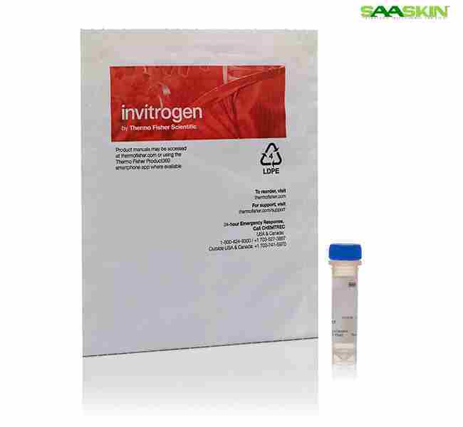 Thermo Fisher Scientific HRP-Conjugated Streptavidin