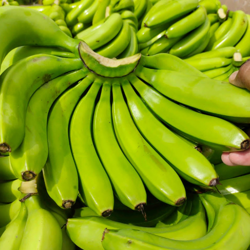 Raw Banana