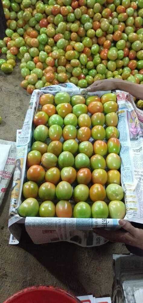 Green Tomato