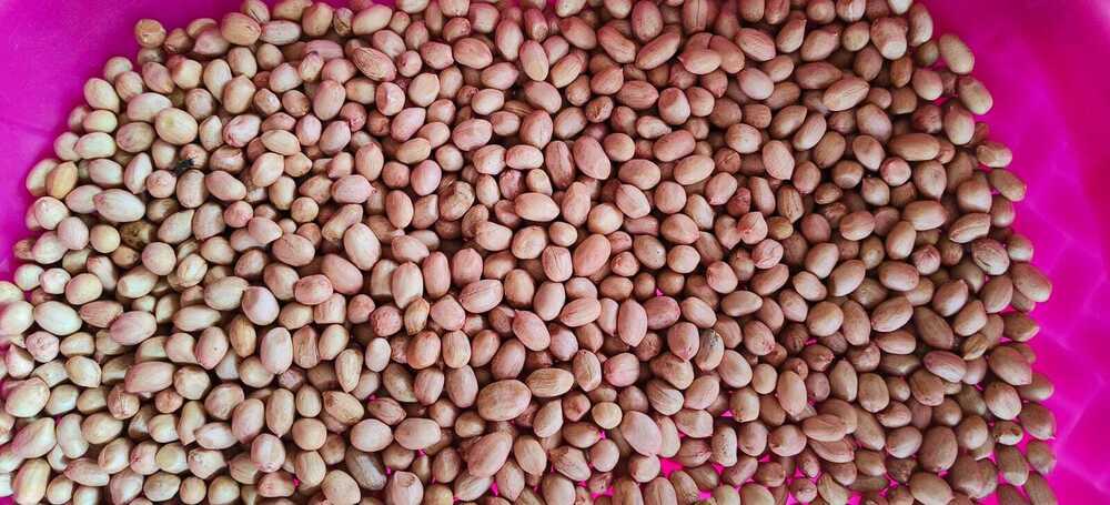 Fresh Peanut