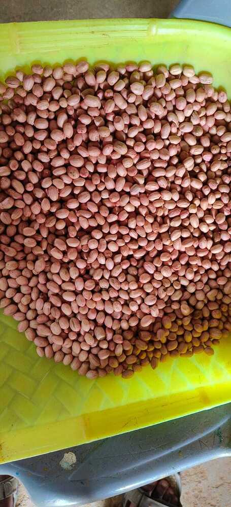 Fresh Peanut