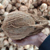 Husked Coconut