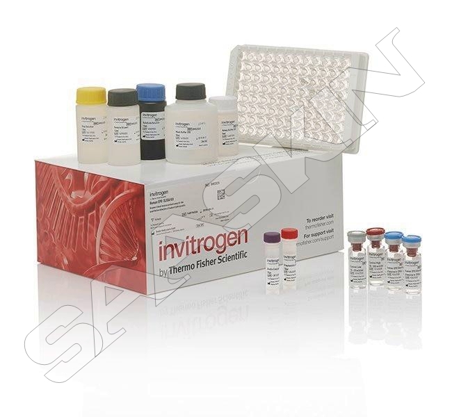 Thermo Fisher Scientific Human RARRES2/TIG2 ELISA Kit