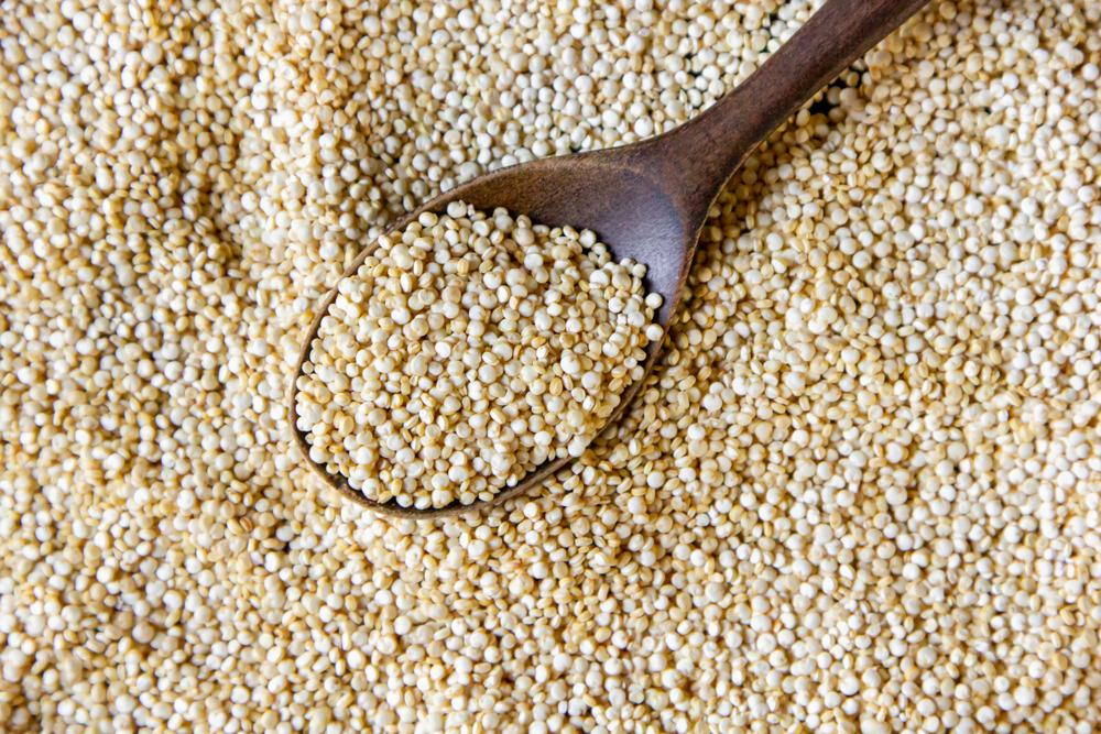 Poppy Seeds