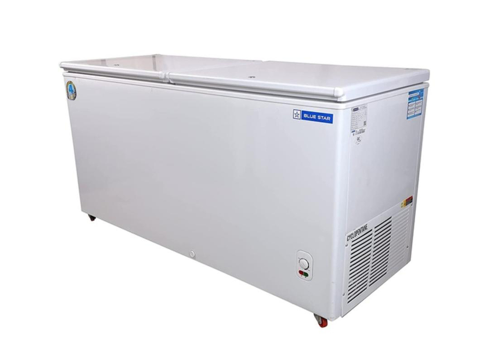 Blue Star Double Door Hard Top Deep Freezer