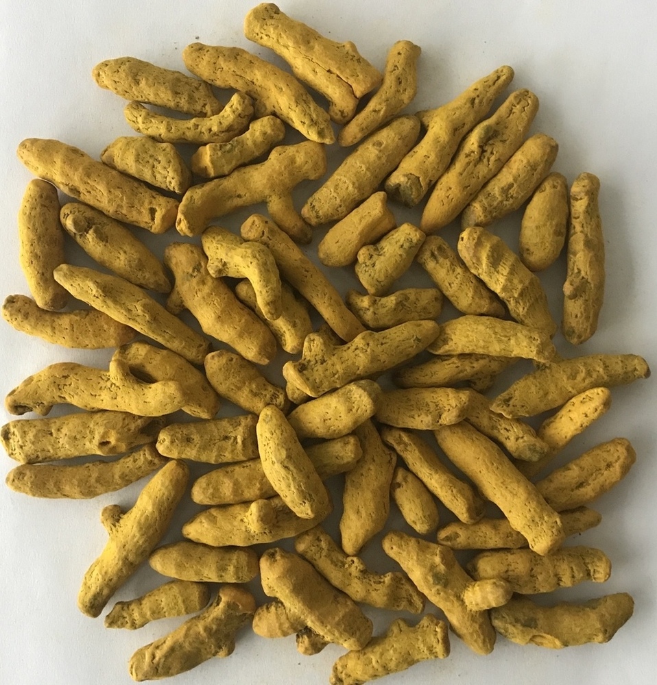 Raw Turmeric Finger