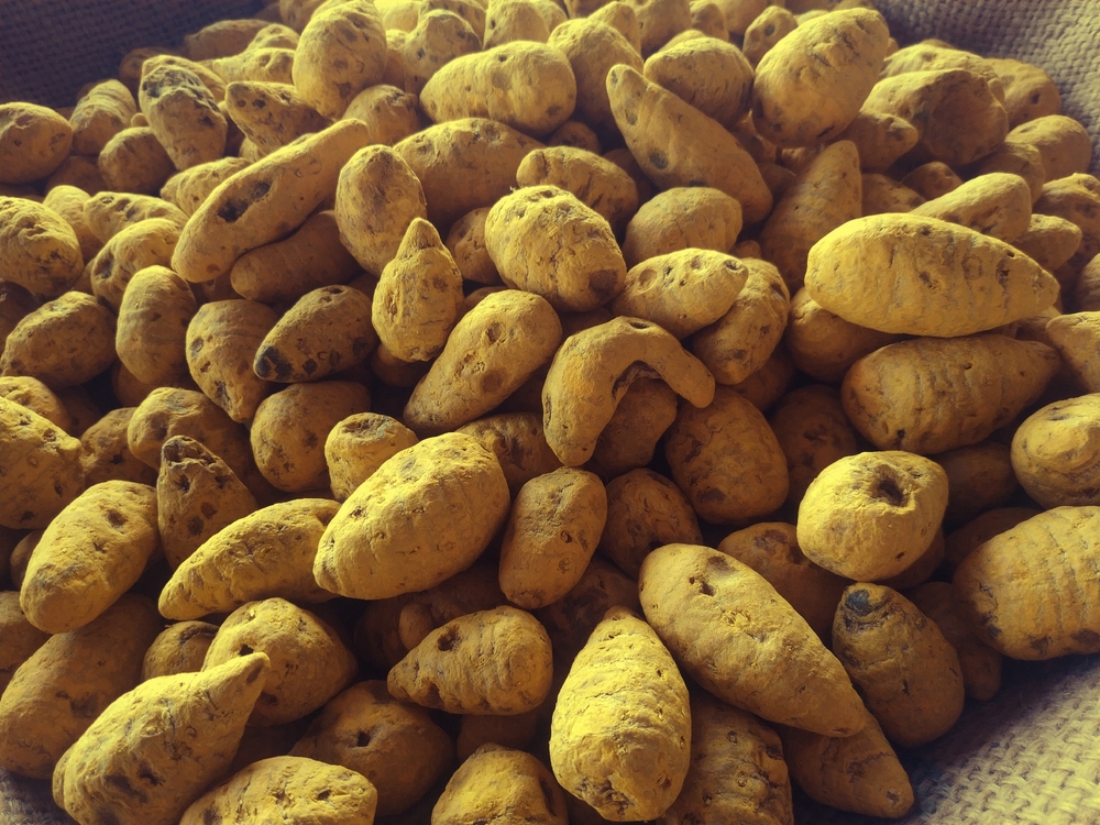 Fresh Turmeric Bulb